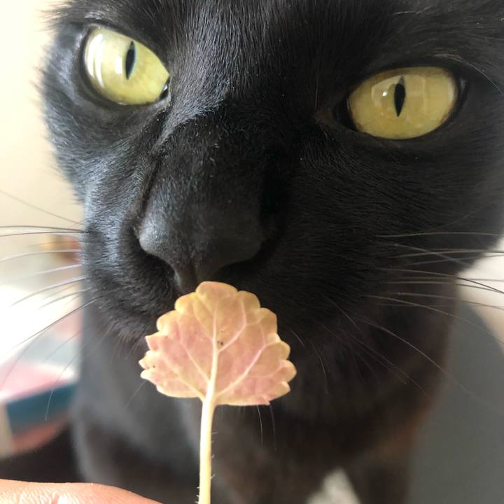 63bed8ae 5f98 4206 9307 3c7ad2604ed8 1618105856936