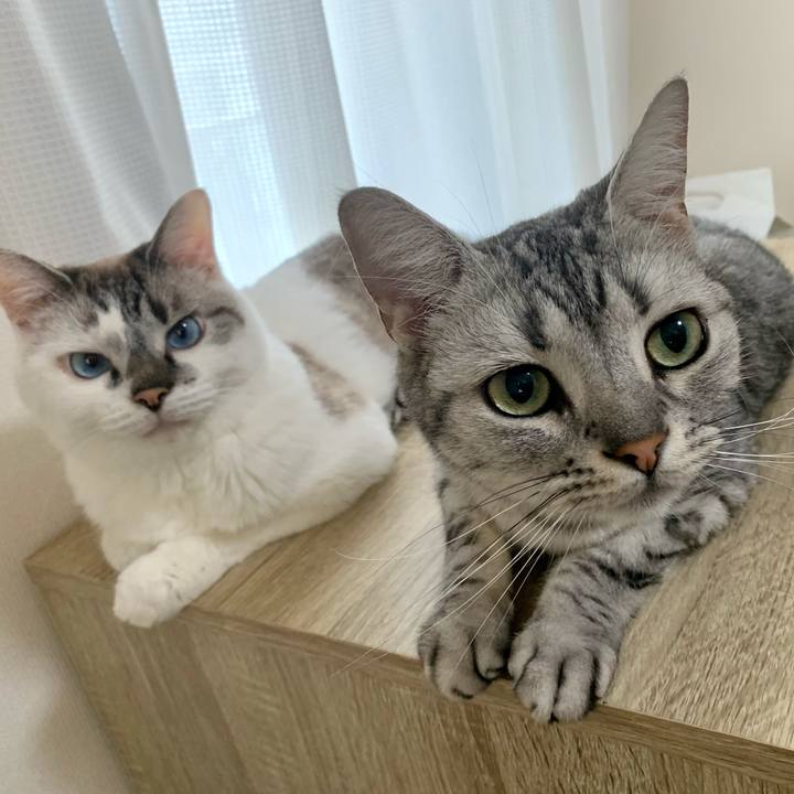 63bf816f eed6 47df 8d89 84d3a941cd71 1627551122248