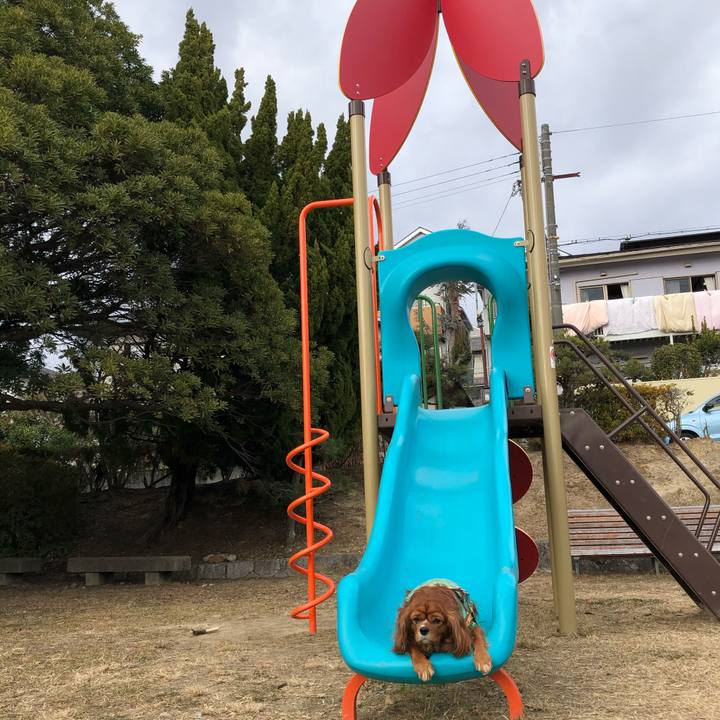 63bf9498 5691 42cc 975c 15e82c5f140e 1609481896696