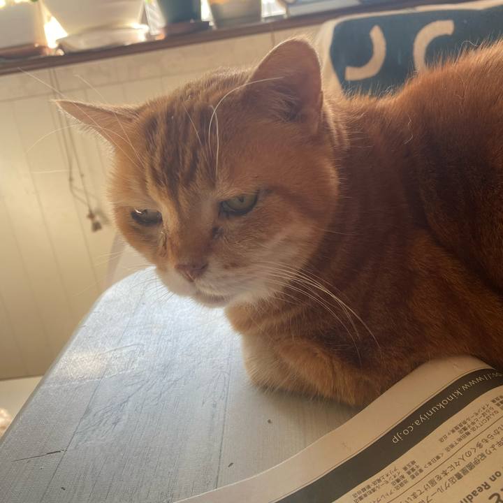 63bff7e8 eac1 4fcd a6ec e44a61f8b52a 1739601744309