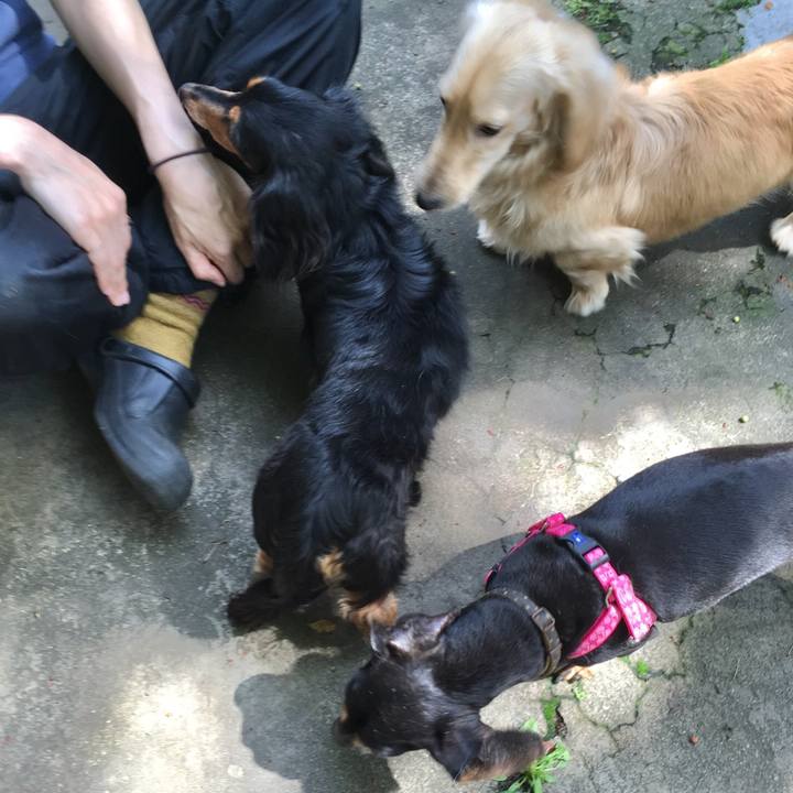 63bff876 9128 41b1 933b 5fc2fa15d34b 1556926549741