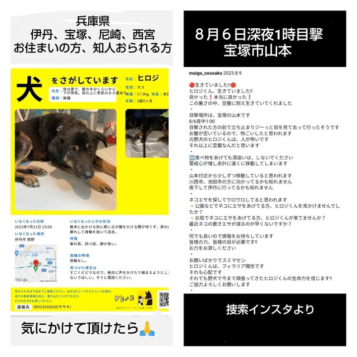 63c00be1 e429 44e6 a98f 2271feddec03 1691647028101