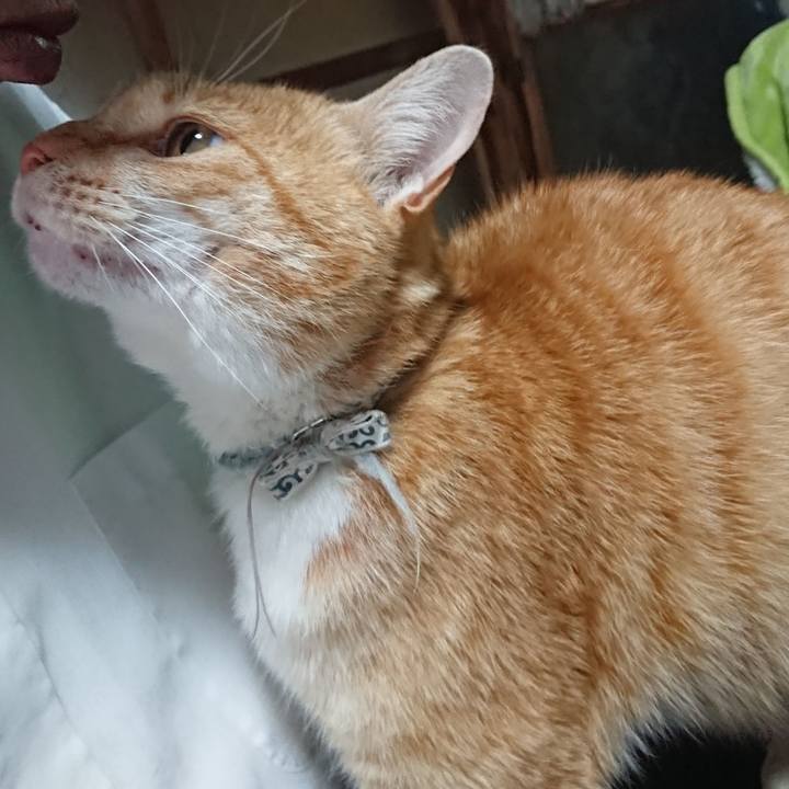 63c057fd 4466 44cd 8758 0b477604476f 1589361652072