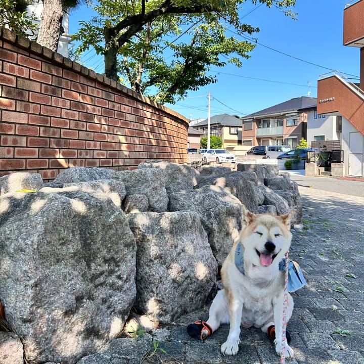 63c08fe7 797e 4e12 99cc a3cef68abbdd 1753496420595