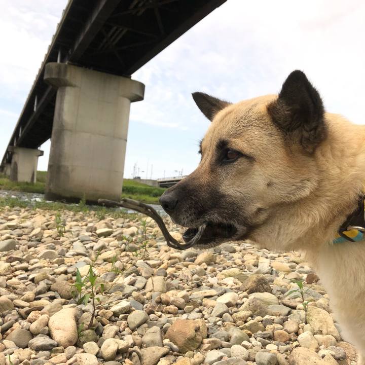 63c0bef6 d7d2 42e6 9e32 2a2c9d51da3c 1593347240625