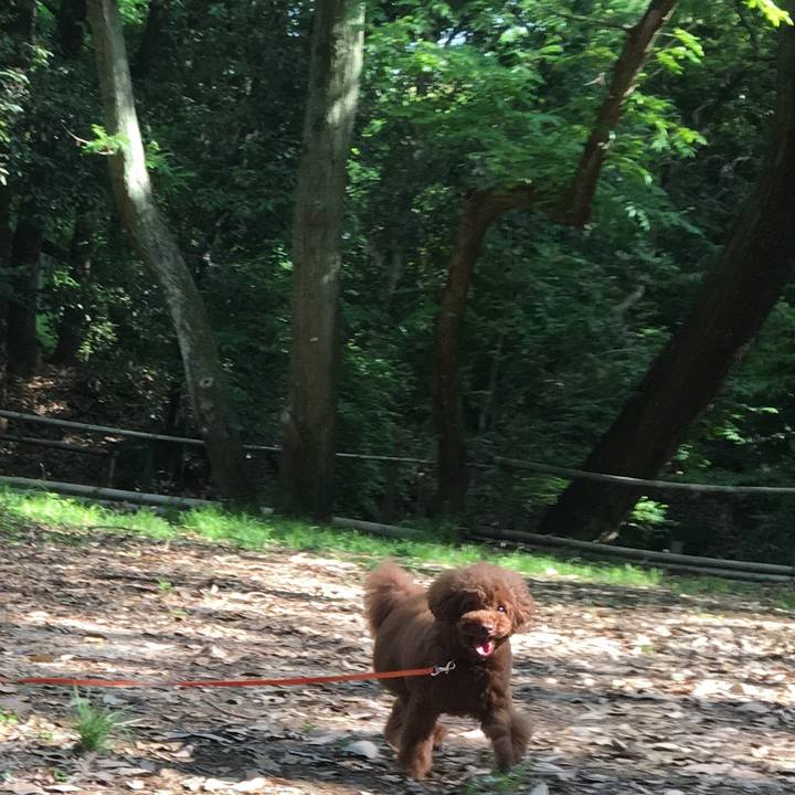 63c0d9ff c162 4ad4 955d dd5bd21ab657 1525069629936