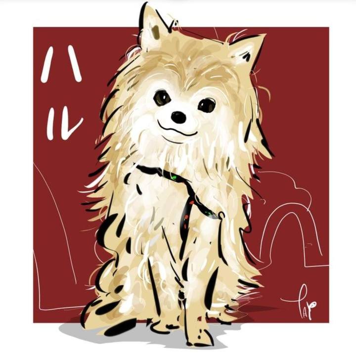 63c13502 0a59 40d7 81d3 1e7d7411838e 1738494999180