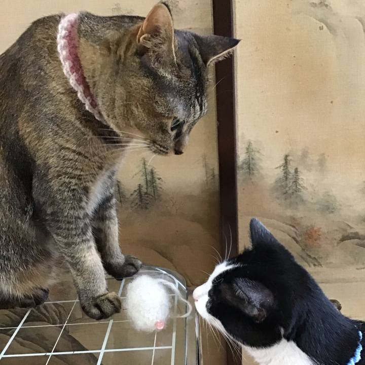 63c14fab 4a9b 43a5 ad6a e73019021679 1660042167560