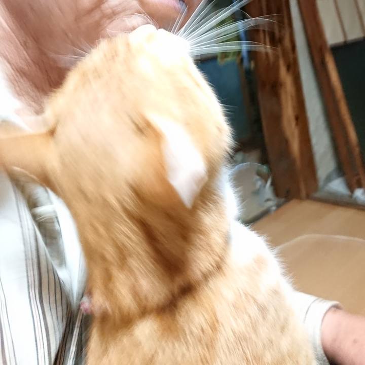 63c17d34 d811 4eb8 b971 75fae070fdad 1600808988731