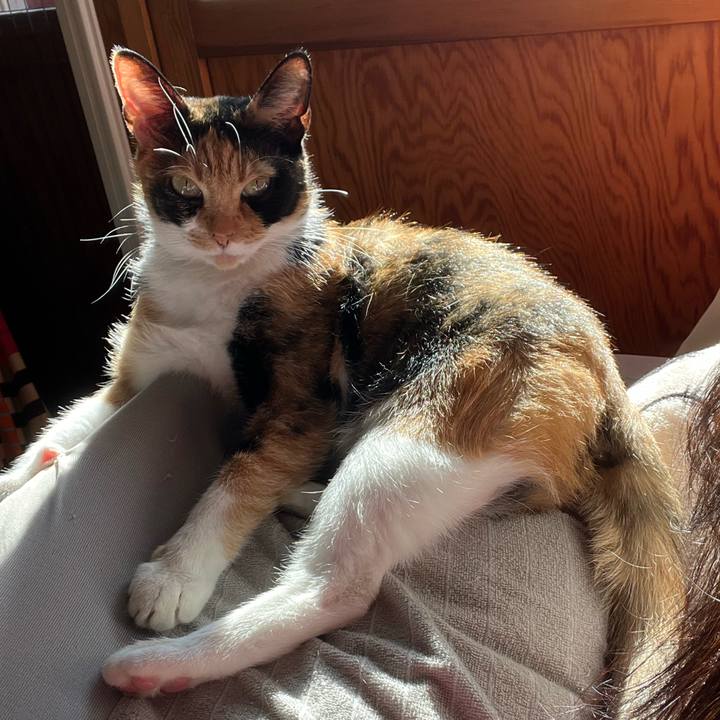 63c1cde1 4009 411a b670 e2fa07ab540d 1668124570912