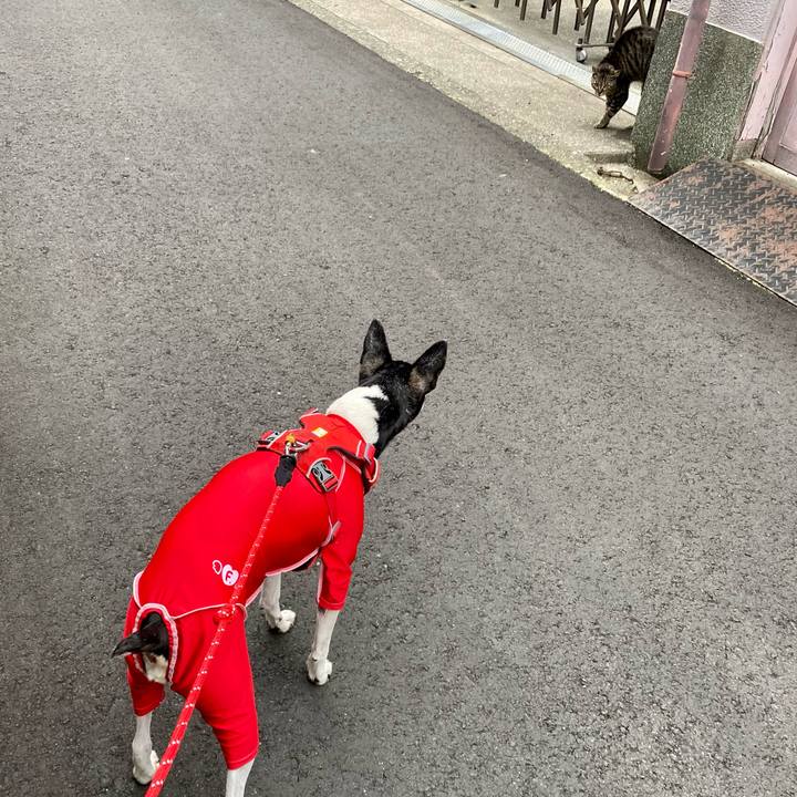 63c214d5 b00b 44e2 80c3 c251029c841b 1618523621966