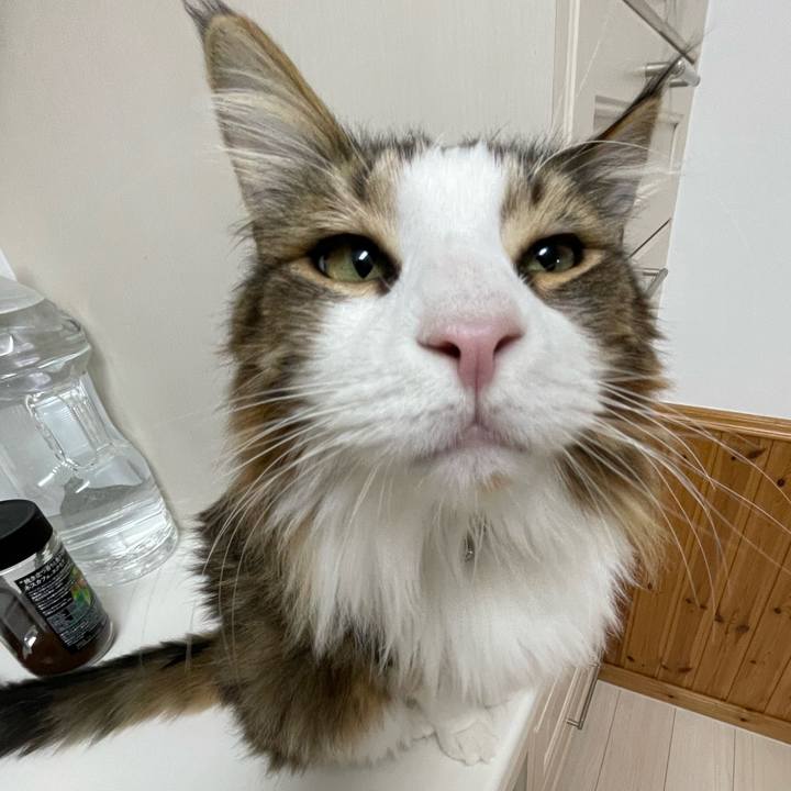 63c22b18 2330 45fa 8538 e641e301b55b 1670356261130