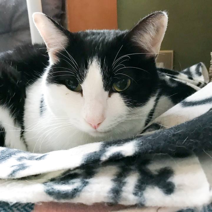 63c274b3 f8c2 4d24 8596 5abb839d4340 1513300453892