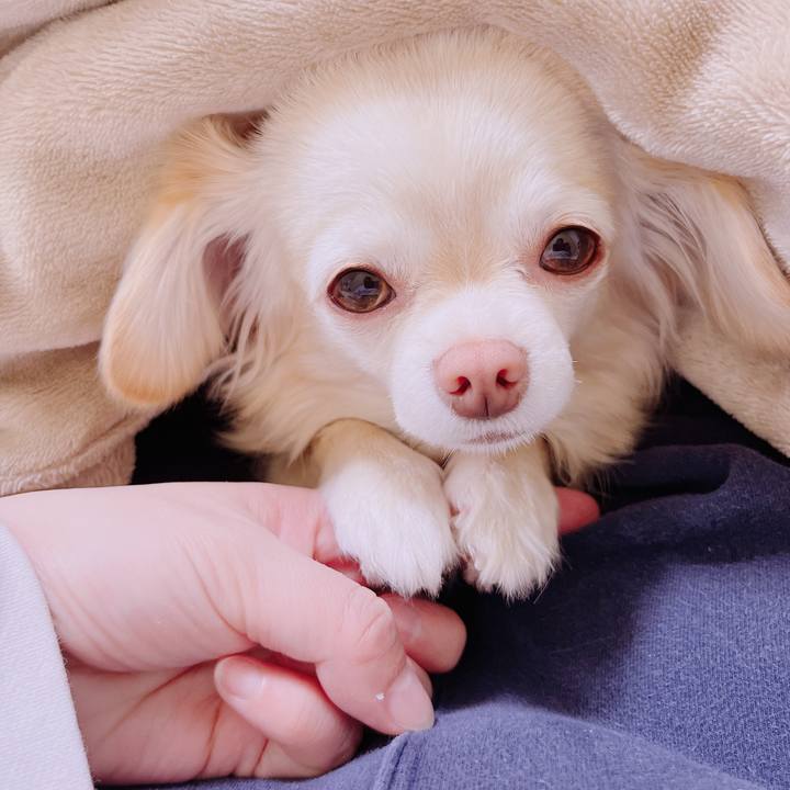 63c288c7 9d3b 4cbc bdc9 20b76c1e7983 1678076091634