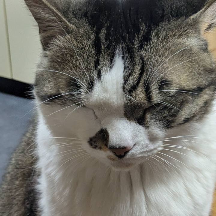 63c29e5a 04bb 4861 a61f 687780cbdf42 1771054218140