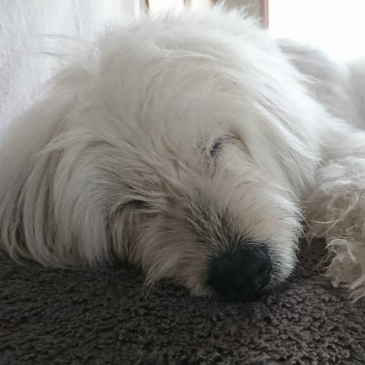 63c2b197 de11 4d07 a772 9fc81847a076 1581843561149