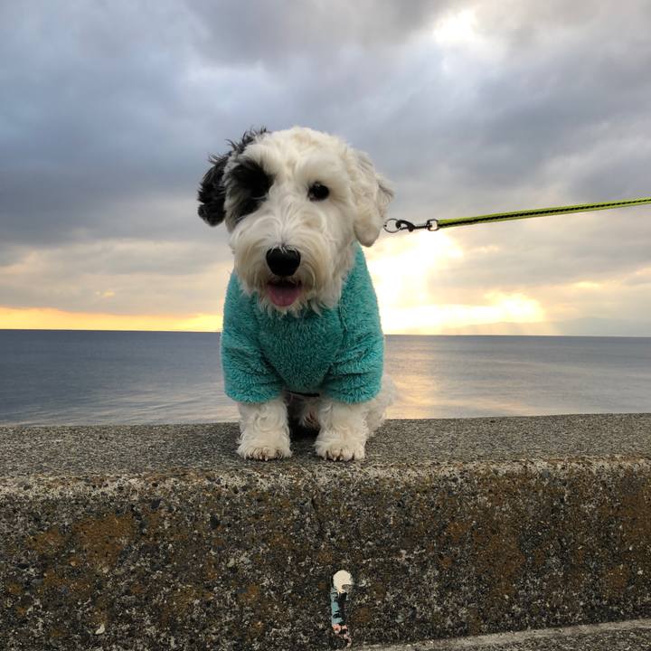 63c2c0db 336c 4b0c a2c9 34faa94ddf3a 1553418751073