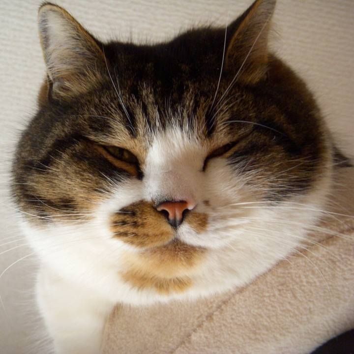 63c2d4c5 5251 45df 893d 623e3f9b9d0b 1518094819745