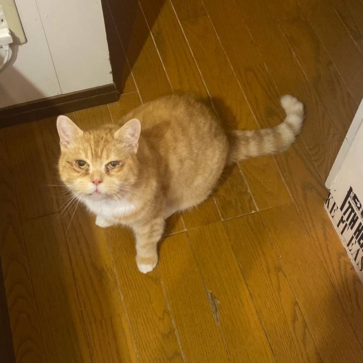 63c2ecb5 f2dd 4dad 8245 798489f2b508 1649345332827