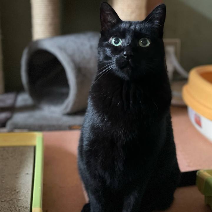 63c367ad 7e20 4613 aea6 daf164943a9d 1610848633235