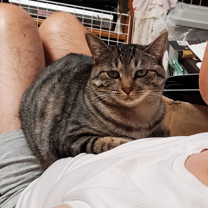 63c36a0e 4f2d 4be1 bba5 29f6baf483e9 1702470791624