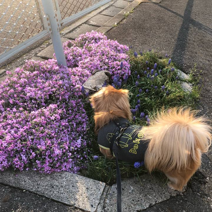 63c36ffa d91a 4d5f acf4 5b3759e3fd37 1523141586040