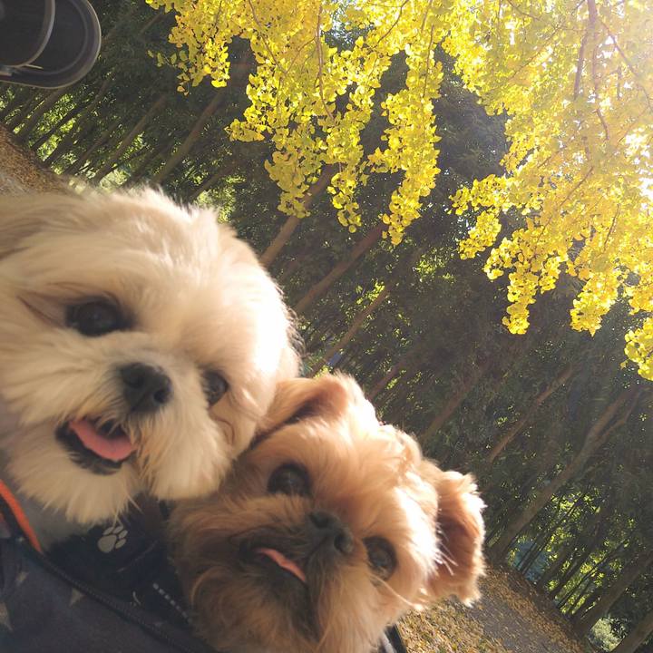 63c3b189 9fb2 4607 b281 6b2e4d1da9d5 1636242745417