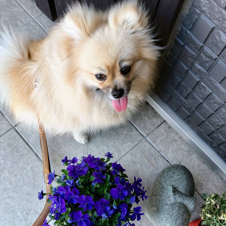 63c3c6cd e3e6 4337 8bf1 1baef8809a71 1647487005472