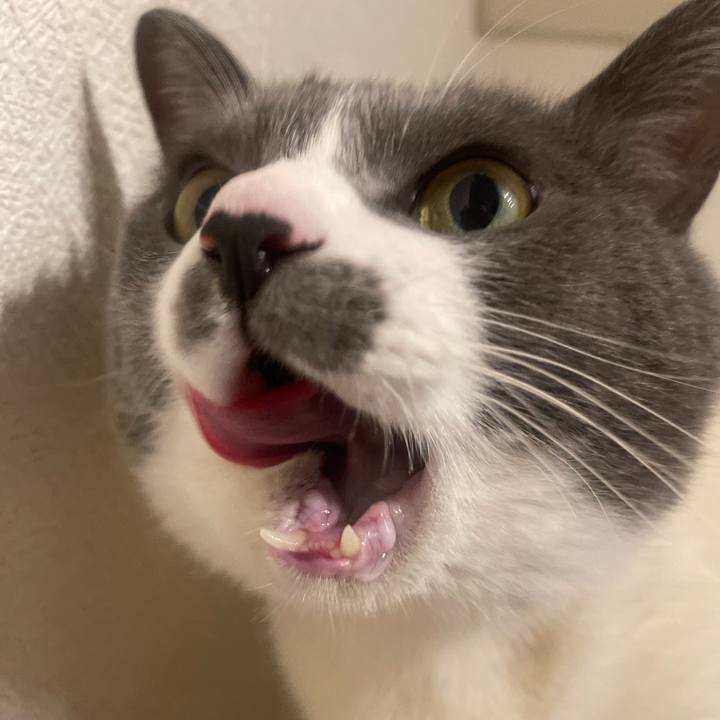 63c3fd69 4ea8 4cc5 acf0 1ea2c5ed1ede 1739976637318