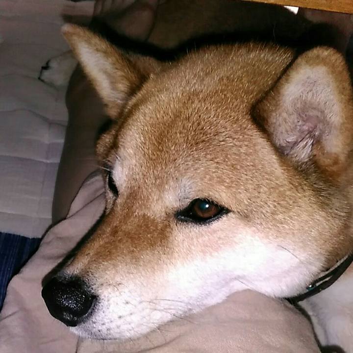 63c43d1c 4d81 4202 8f1e cf08b120c621 1562840320283