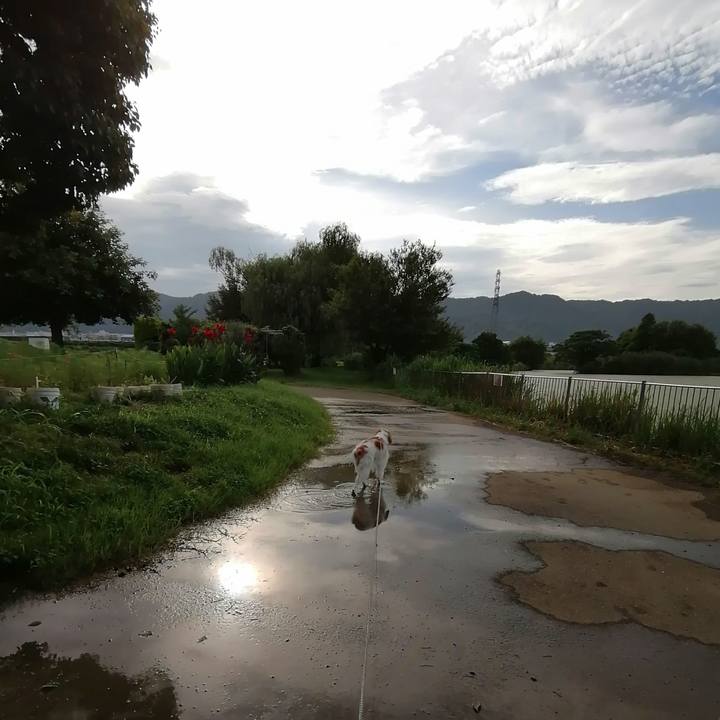 63c44100 56e9 4040 bf23 565547787e5d 1595894571133