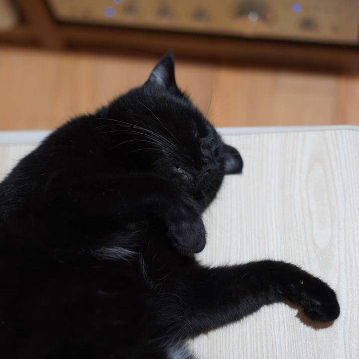 63c4681e 4fa8 4803 bd15 888fdf189d53 1627222726937