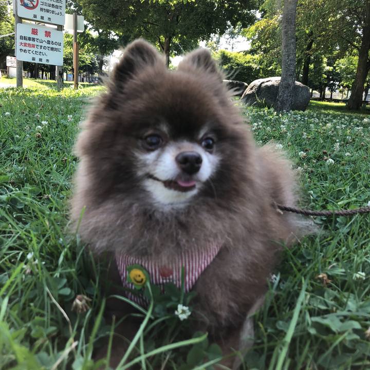 63c46d2d cee3 4e56 8d87 24aa7e9eacb5 1596067693158