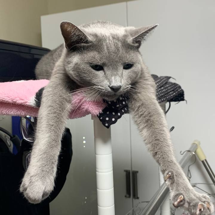 63c47e41 7090 4e90 8f14 9e88a935b8f3 1665715658814