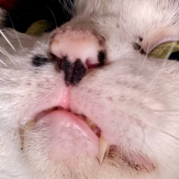 63c49367 3782 48b2 8022 cf44a2f3c718 1760331625401