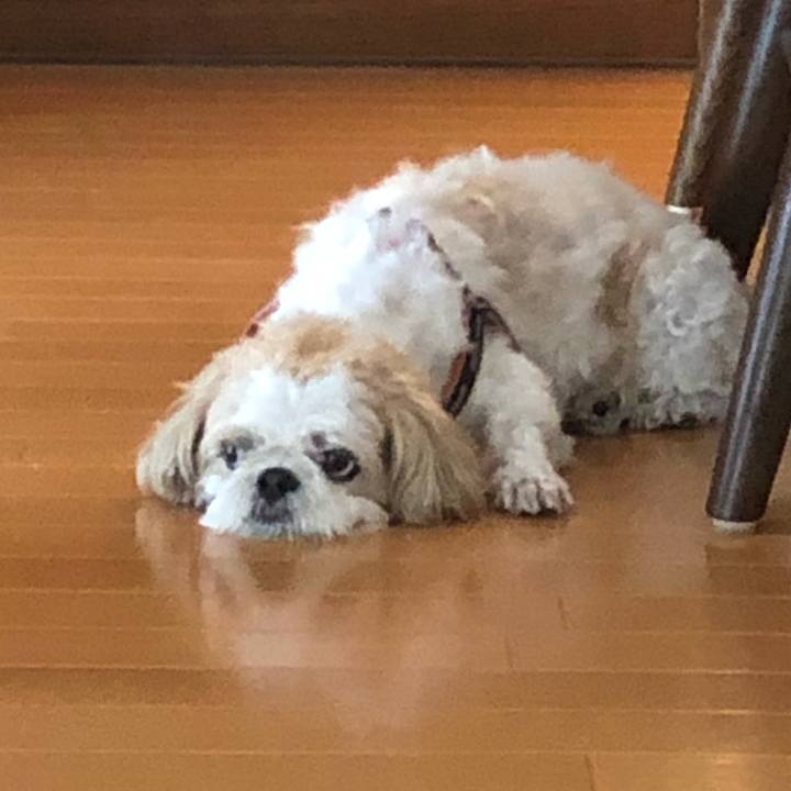 63c4c2a6 fa23 402a 9491 6cfa92a28acf 1629927470822