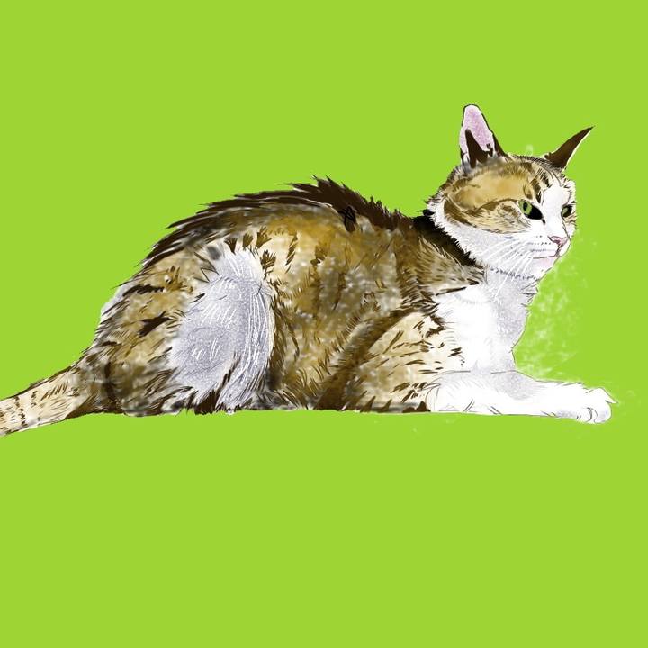 63c4c50e b9fe 4042 86a1 ca06cf36d894 1590922408452