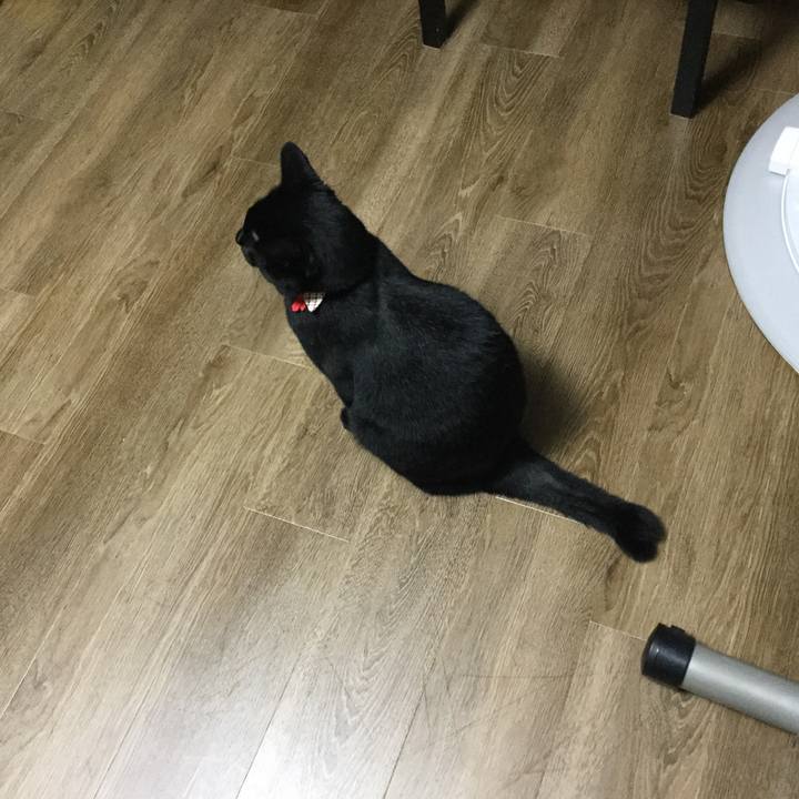 63c4d4f0 7f83 41db b010 6ee18b1a83ca 1532003932113