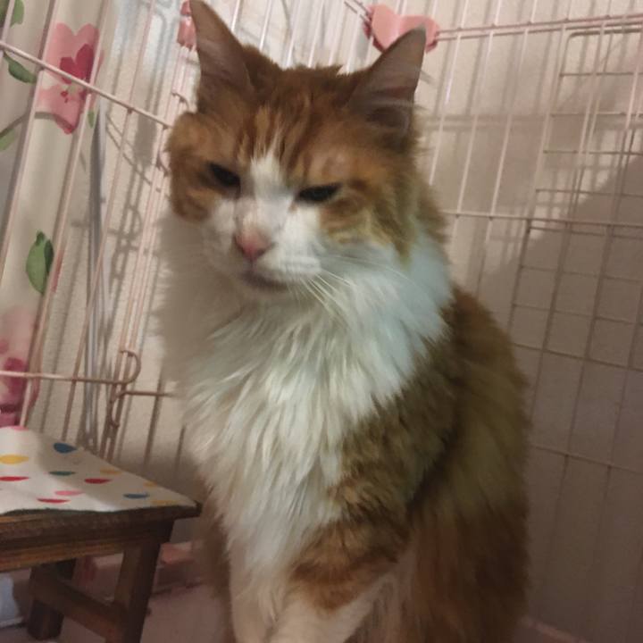 63c4fe1c d4f3 499c 83ac c19e28c654d4 1573392514112