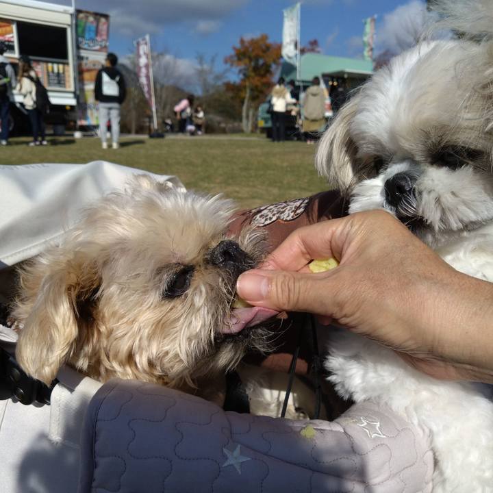 63c51616 d8ef 4f3a 8353 ae00b5afb862 1730761687010