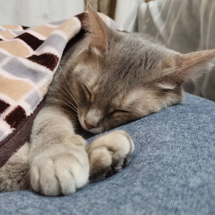 63c52b61 15f2 4f34 b3af 69cbbe4671fc 1612619416370