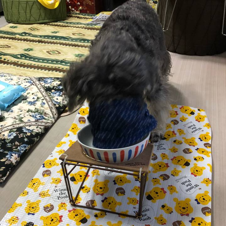 63c538b3 dd8d 43dd b9be b6d882904506 1646279800329