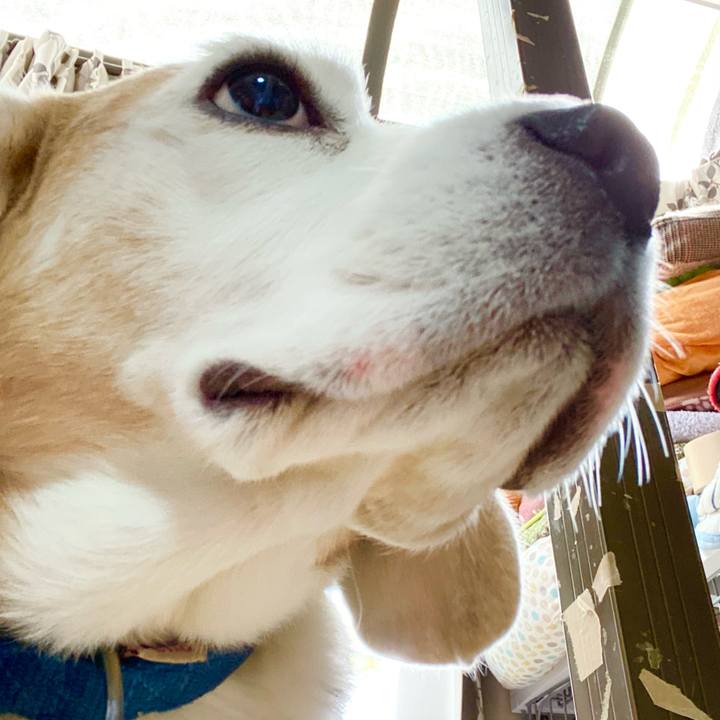 63c58476 6a3b 442a bf13 9fc138b8e1ee 1618294172649