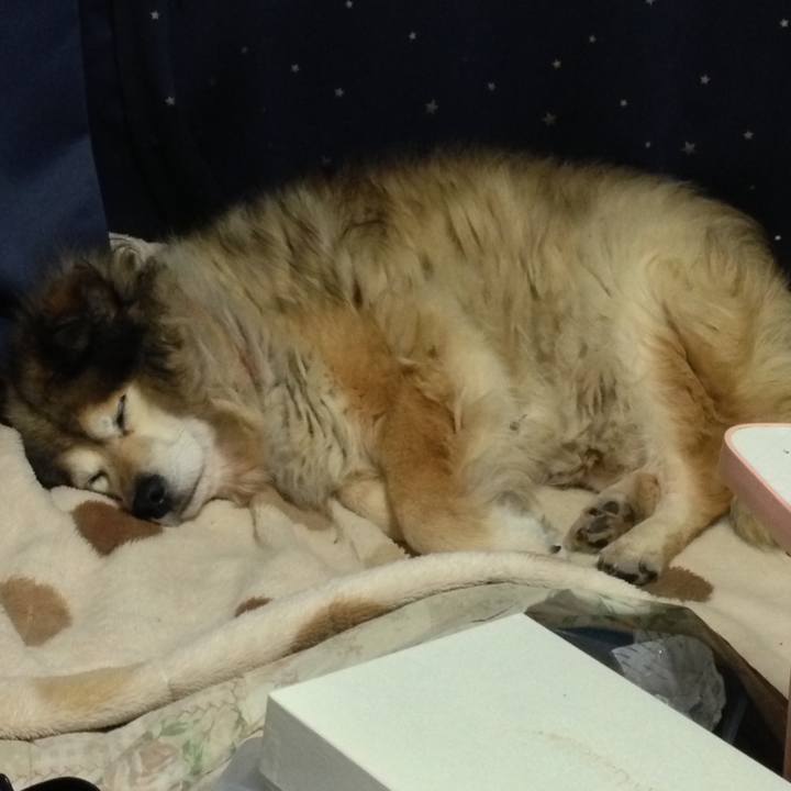 63c5a8a2 472e 47ca 8c31 bbea34ae6e11 1629522162690