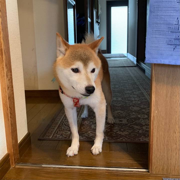 63c60442 c58a 42d6 99aa 139c81db546e 1629197219567