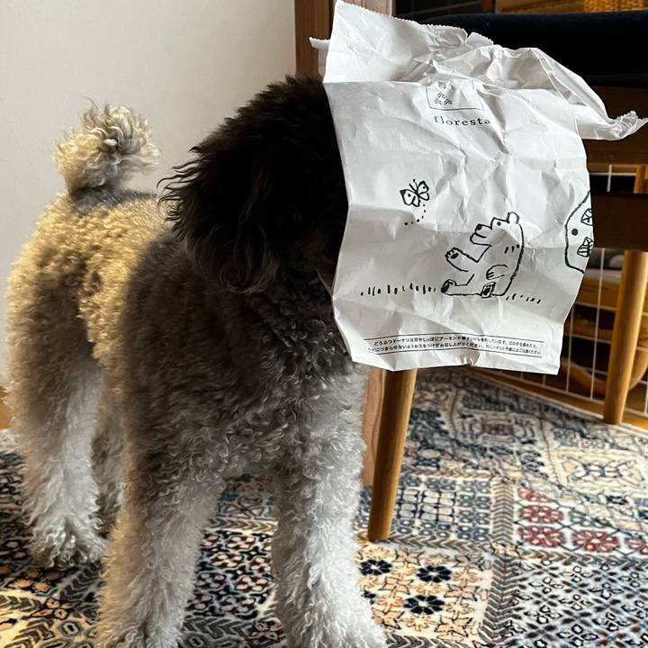 63c60761 0fb7 4926 9073 64e0662e376b 1773819185739