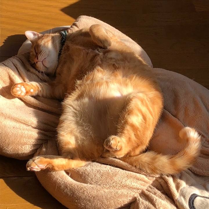 63c632c9 9bb2 4028 98dc 6e630f406100 1584834073567