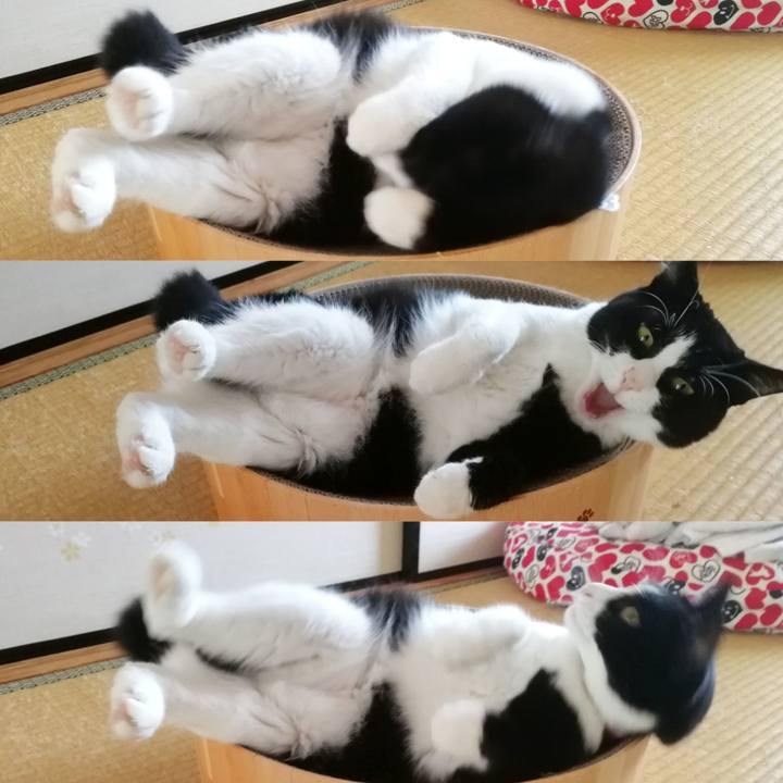 63c684c0 119e 451b a1dd eedcbc05b9c5 1598189270501