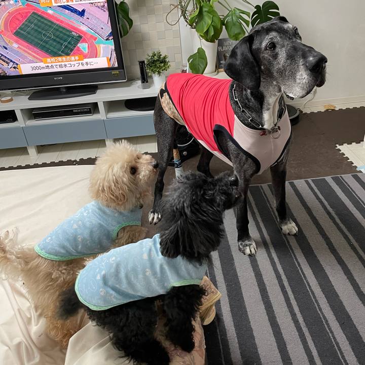 63c696ee 7e33 4bcb 9b33 b3fdc253ebfa 1652048288849