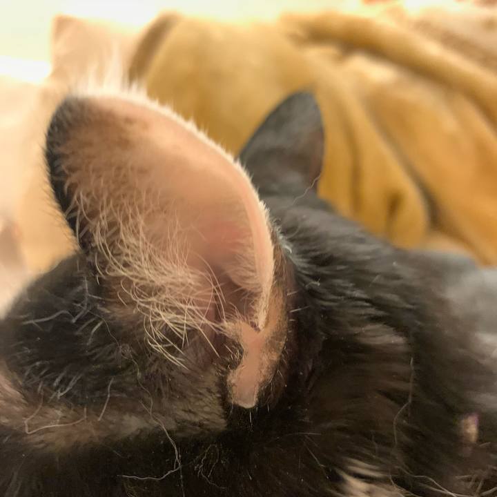 63c6ceb4 84f6 458a a089 42a6a53782df 1708737105987